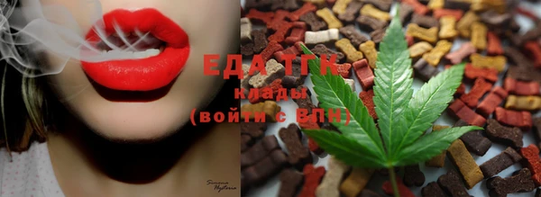 дмт Алзамай