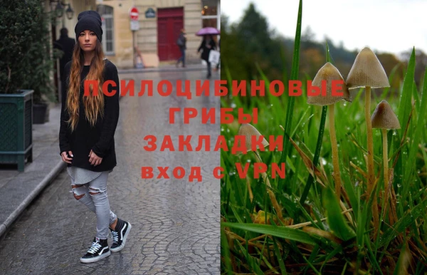 ALPHA-PVP Алексеевка