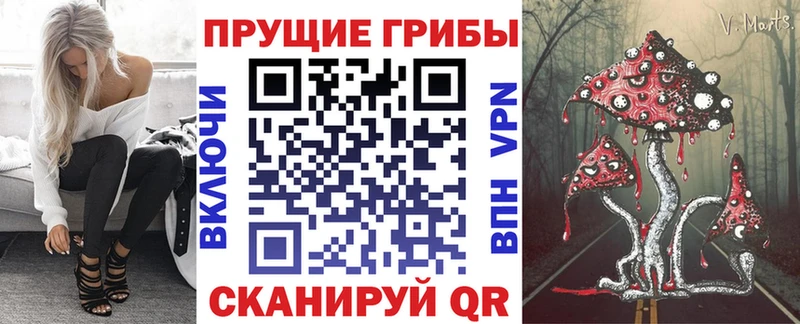 Галлюциногенные грибы ЛСД  где продают наркотики  Андреаполь 