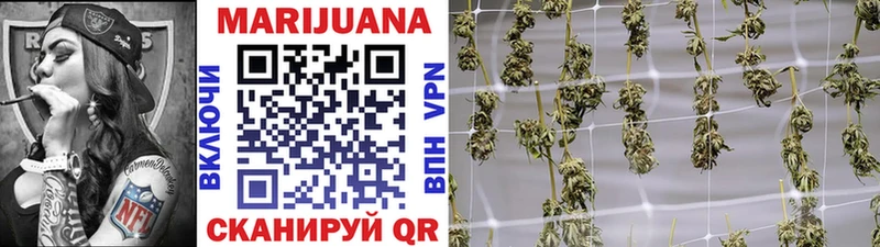 Конопля OG Kush  Андреаполь 